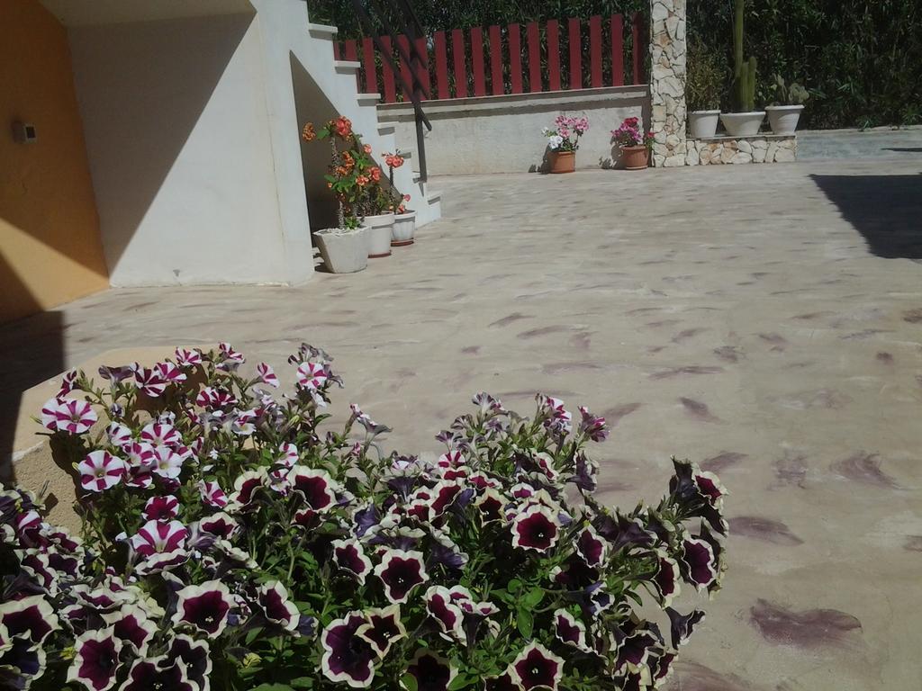 Kamarina Land Bed and Breakfast Santa Croce Camerina Εξωτερικό φωτογραφία